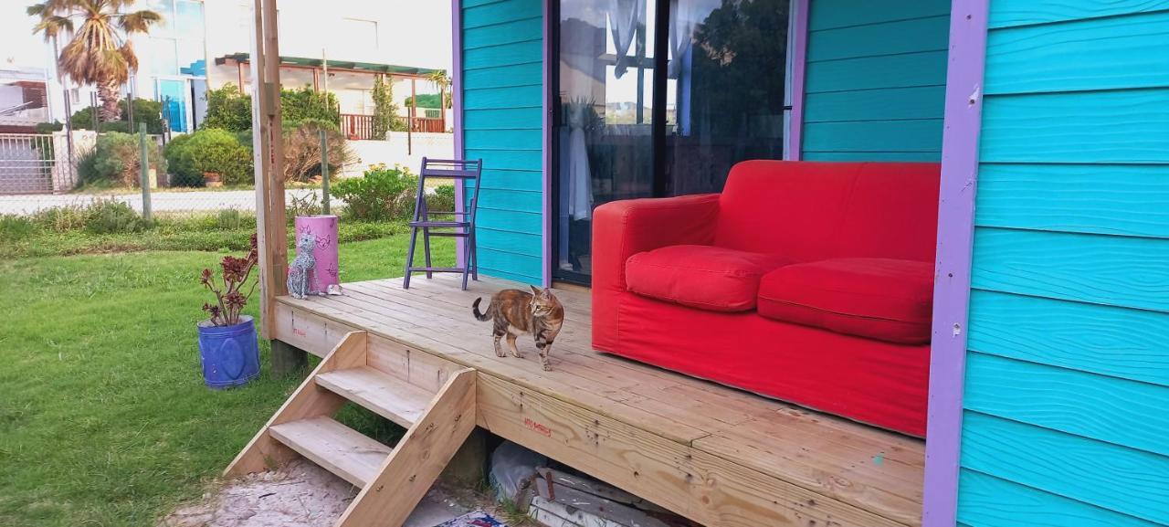 Bettyʼs Bay Cat Nap Cottage מראה חיצוני תמונה