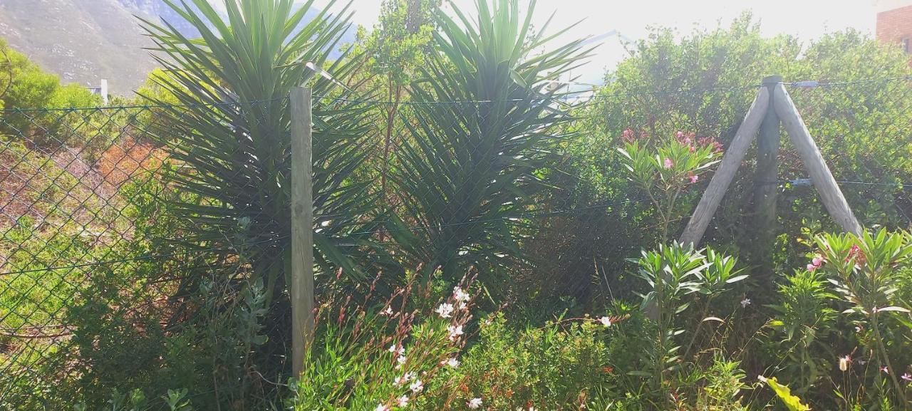 Bettyʼs Bay Cat Nap Cottage מראה חיצוני תמונה