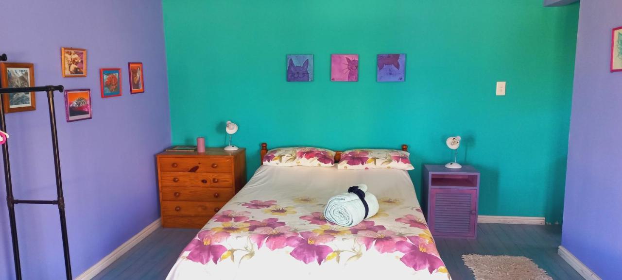 Bettyʼs Bay Cat Nap Cottage מראה חיצוני תמונה