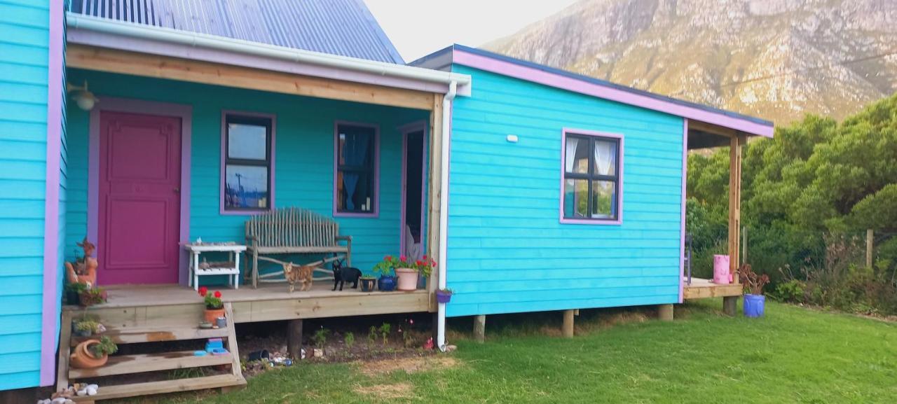 Bettyʼs Bay Cat Nap Cottage מראה חיצוני תמונה