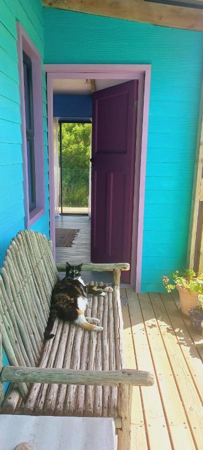 Bettyʼs Bay Cat Nap Cottage מראה חיצוני תמונה