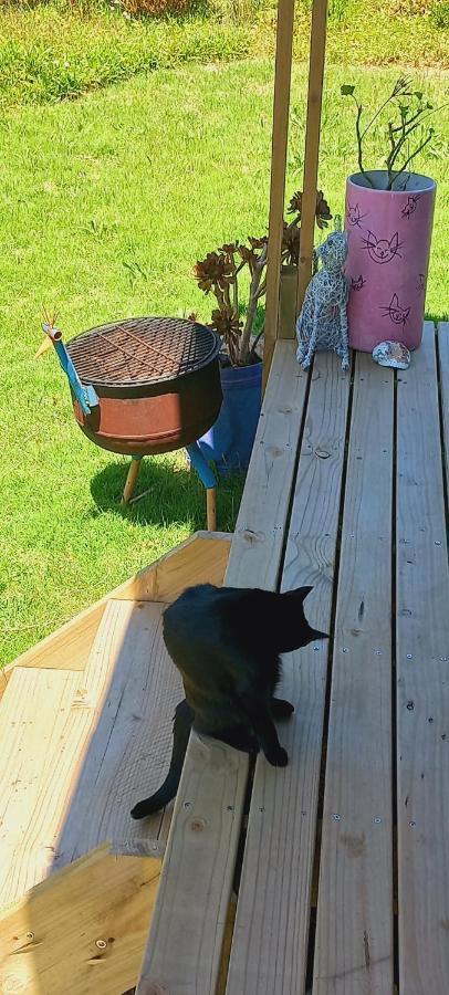 Bettyʼs Bay Cat Nap Cottage מראה חיצוני תמונה