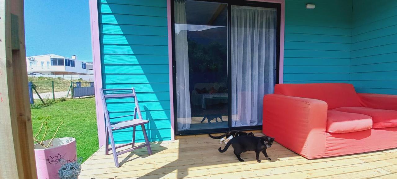 Bettyʼs Bay Cat Nap Cottage מראה חיצוני תמונה