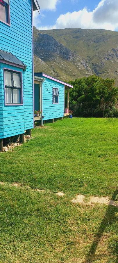 Bettyʼs Bay Cat Nap Cottage מראה חיצוני תמונה