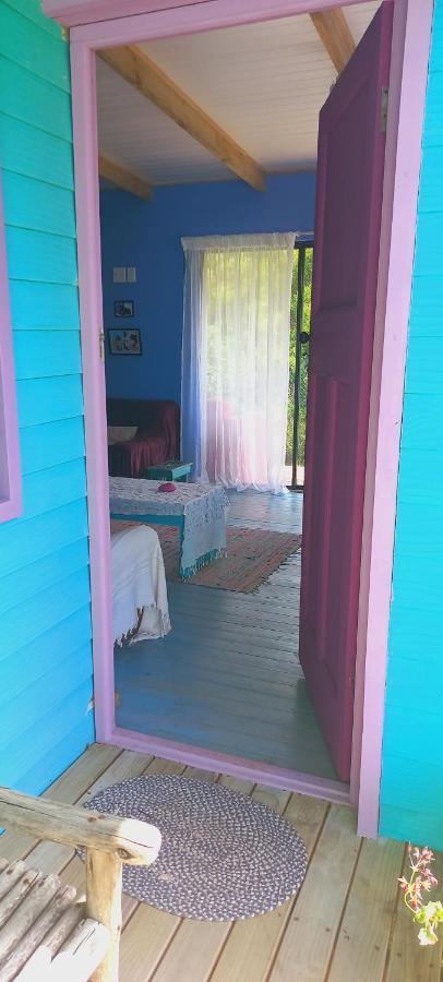 Bettyʼs Bay Cat Nap Cottage מראה חיצוני תמונה