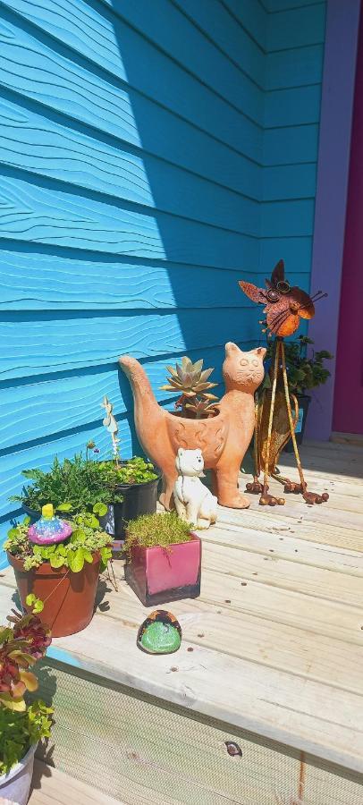 Bettyʼs Bay Cat Nap Cottage מראה חיצוני תמונה