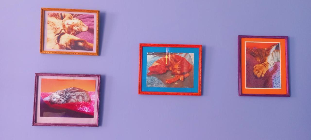 Bettyʼs Bay Cat Nap Cottage מראה חיצוני תמונה